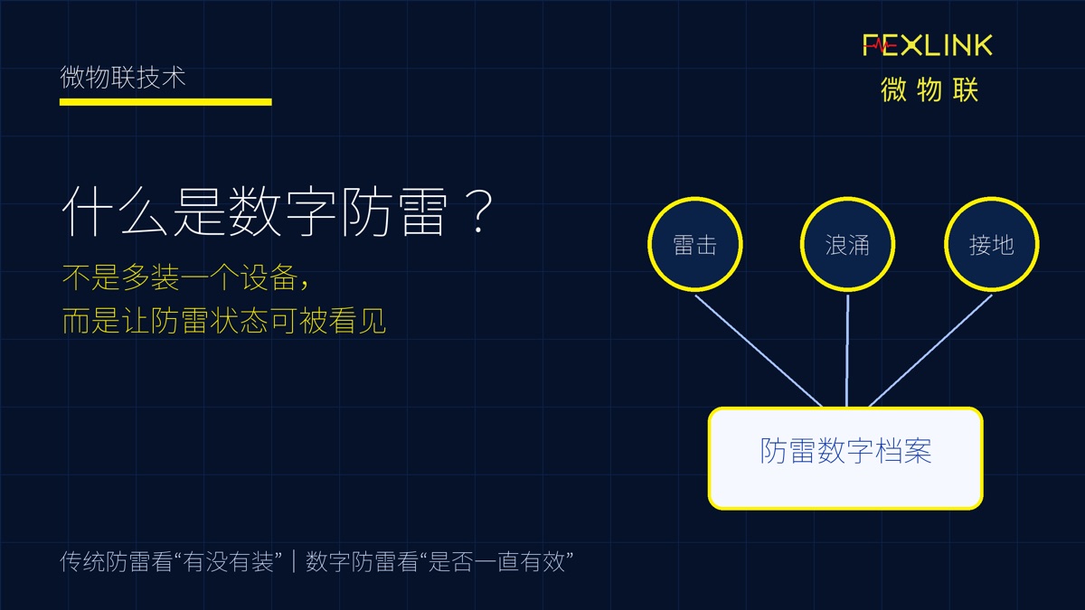 图1：什么是数字防雷？